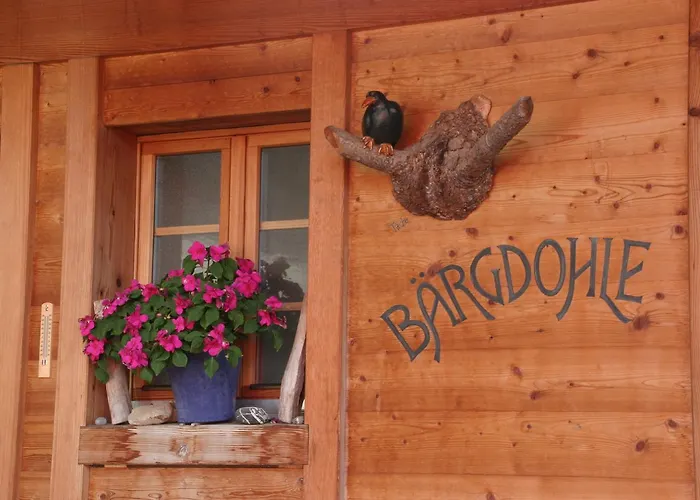 Bergdohle