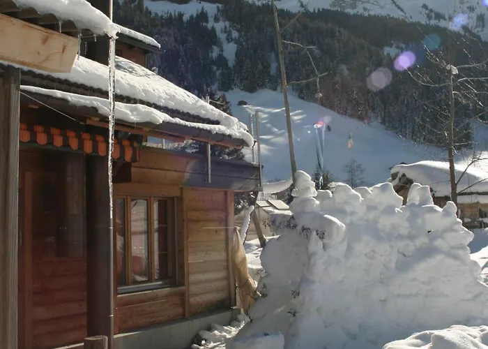 Bergdohle