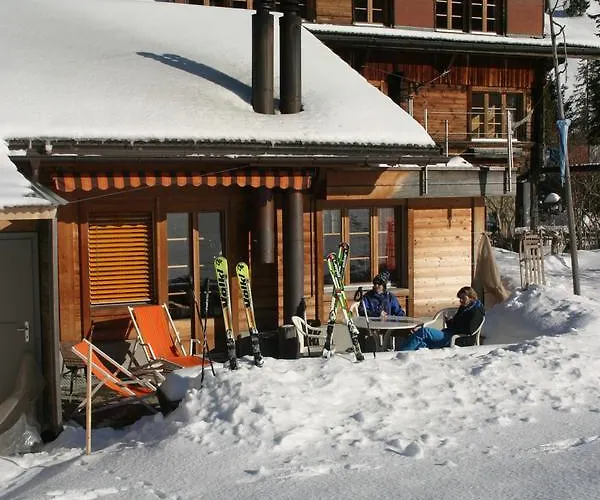 Bergdohle