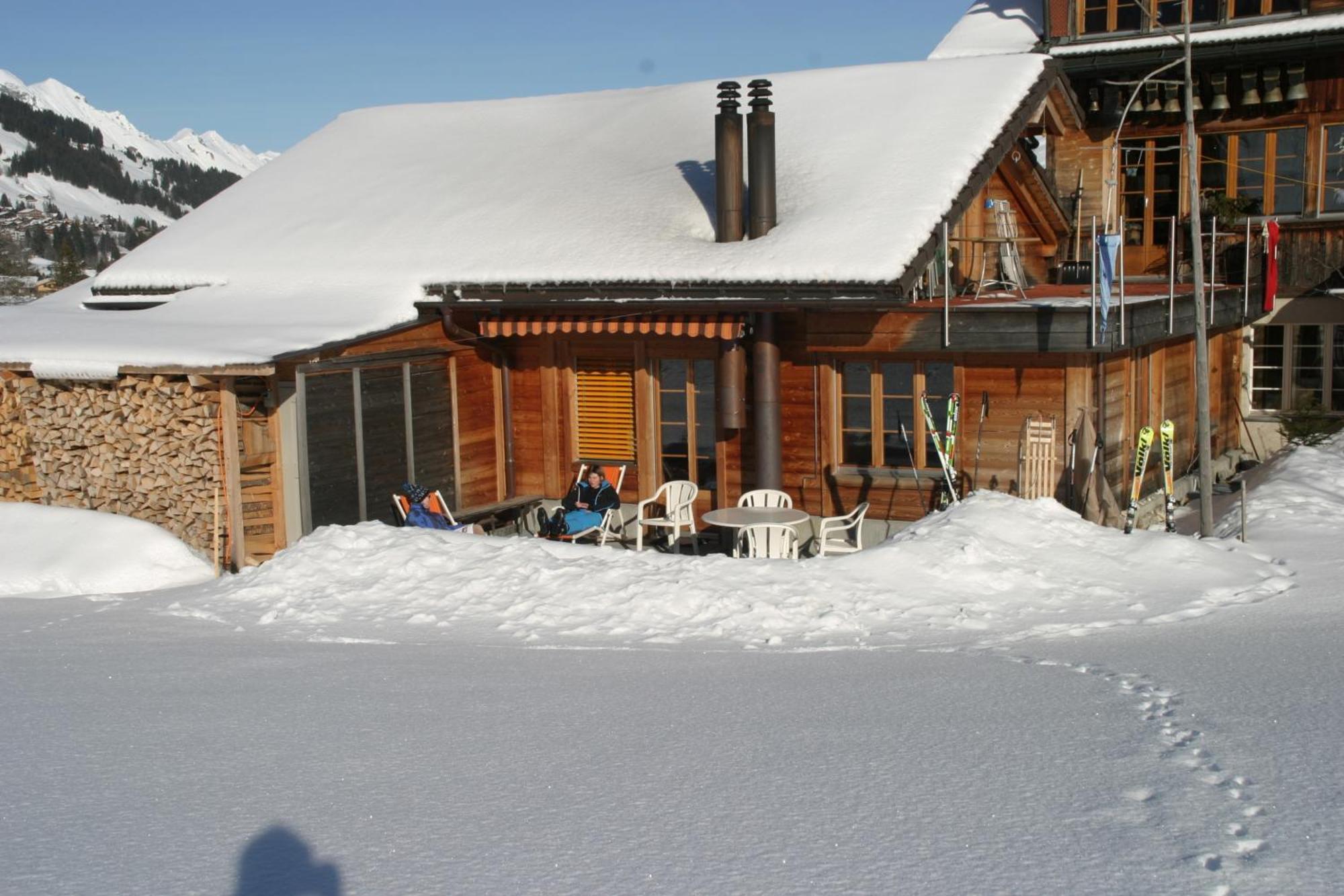 Bergdohle Adelboden
