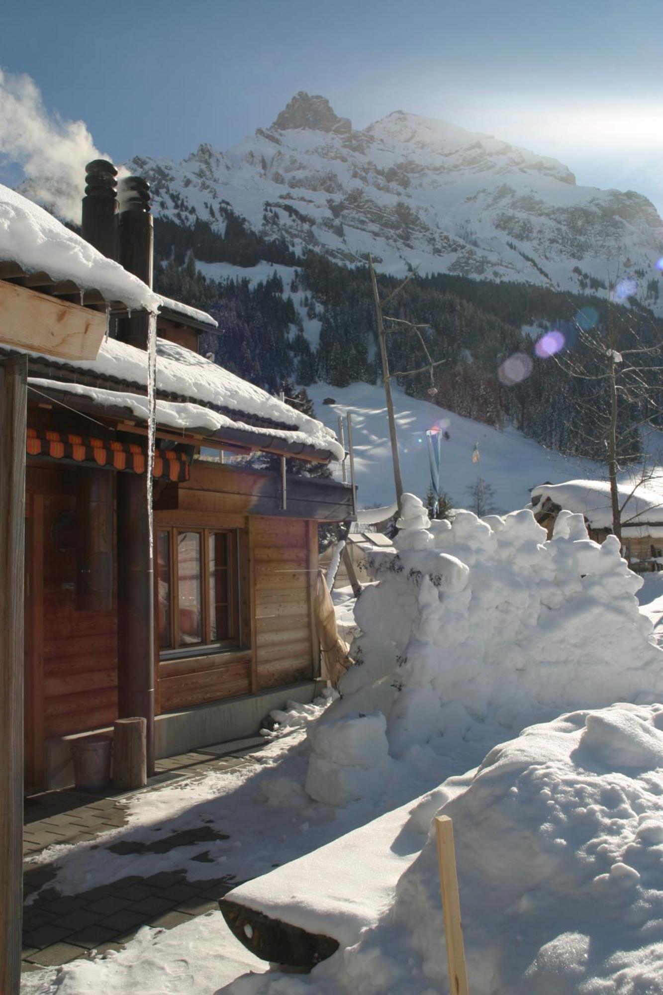 Bergdohle Adelboden