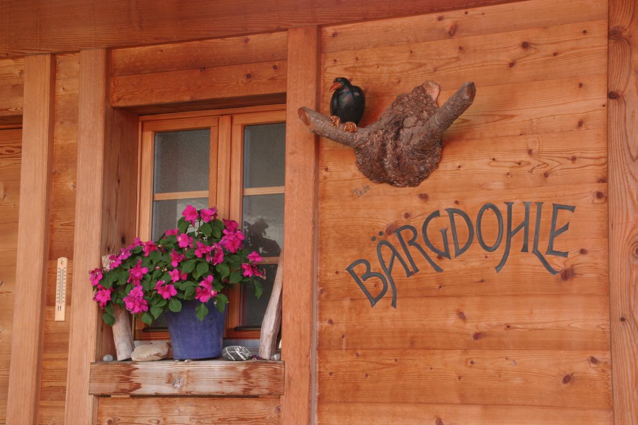 Bergdohle Apartment *