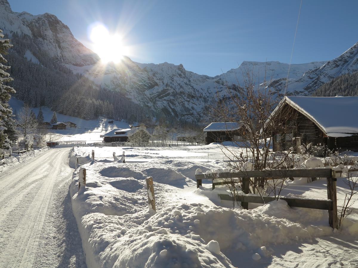 Apartment Bergdohle Adelboden