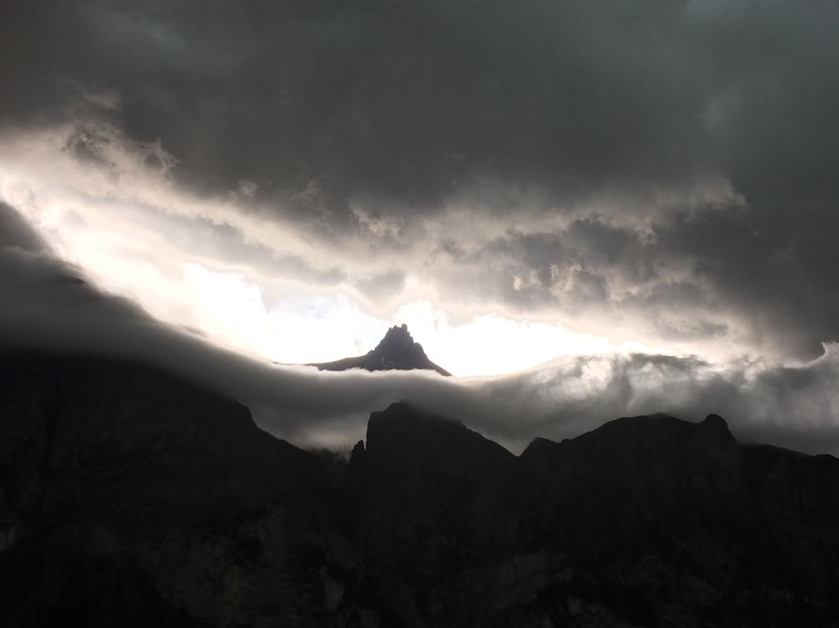 Bergdohle Adelboden