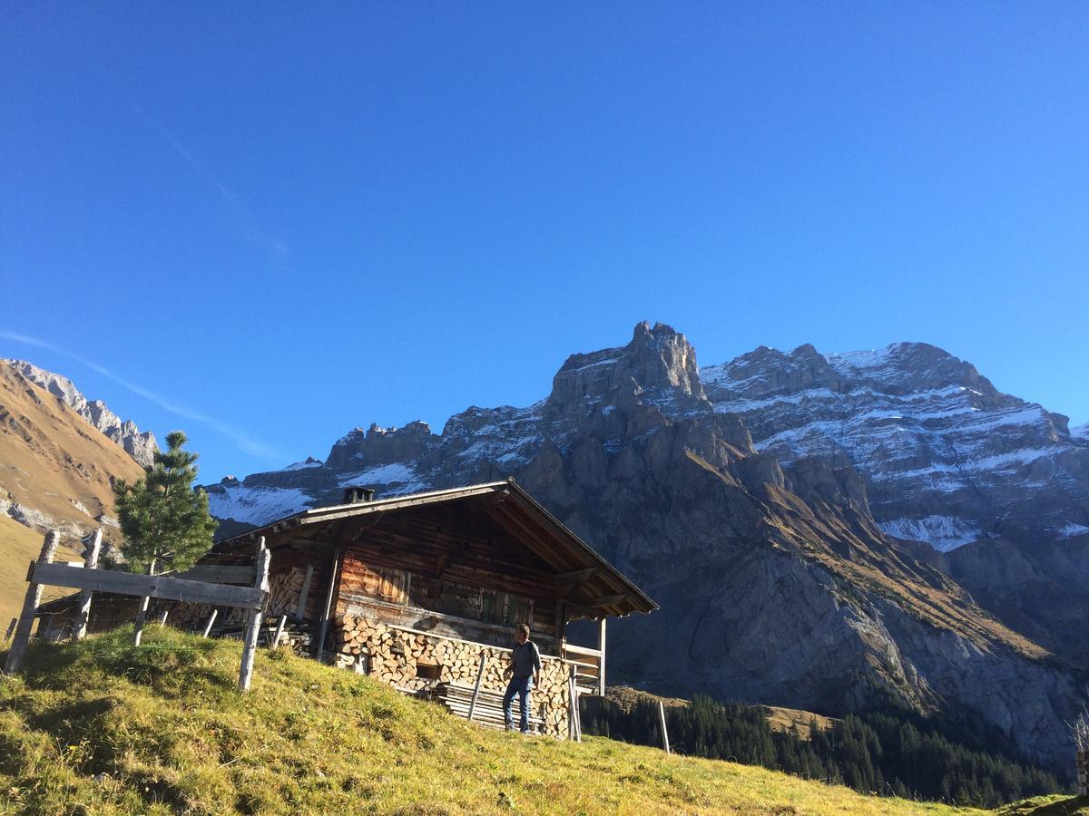 Bergdohle Apartment Adelboden