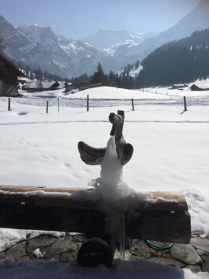 Bergdohle