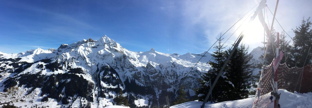 Bergdohle * Adelboden