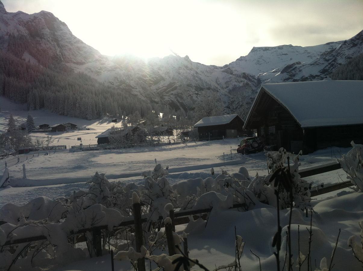 Apartment Bergdohle Adelboden