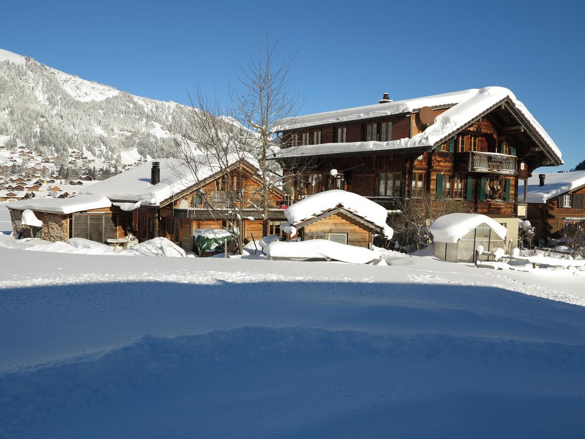 Bergdohle Apartment *