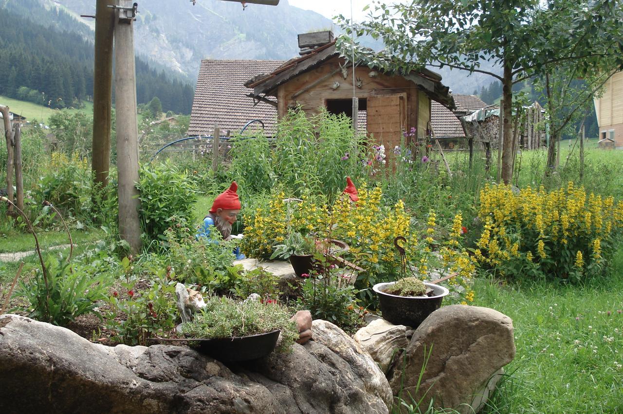 Bergdohle Adelboden