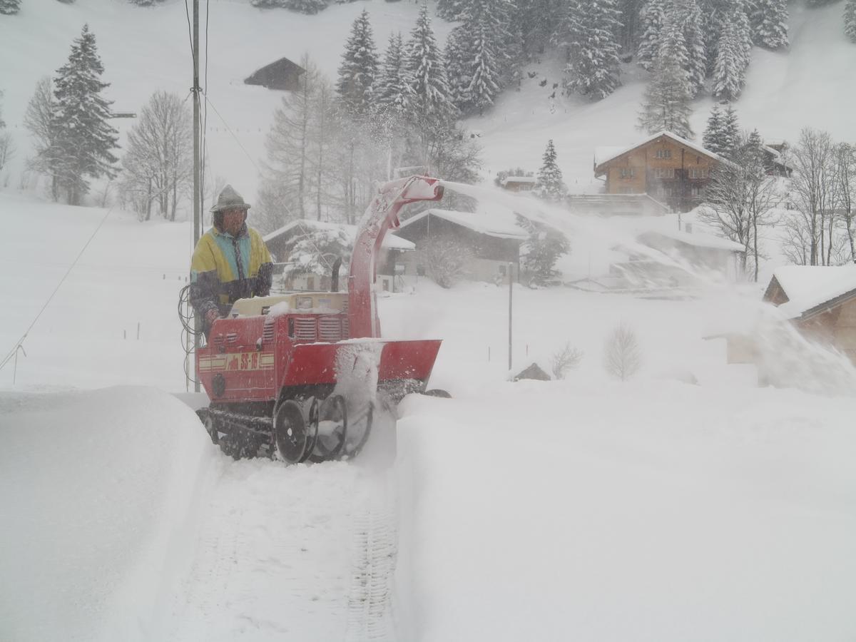 Bergdohle Apartment Adelboden